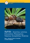 Image for Aphids - Anoeciinae, Lachninae, Eriosomatinae, Phloeomyzinae, Thelaxinae, Hormaphidinae, Mindarinae