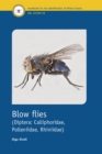 Image for BLOWFLIES