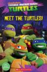 Image for Meet the turtles!