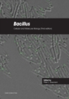 Image for Bacillus  : cellular and molecular biology