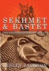 Image for Sekhmet &amp; Bastet : The Feline Powers of Egypt