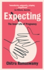 Image for Expecting: the inner life of pregnancy