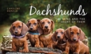 Image for Dachshunds  : the long and the short of them