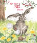 Image for Mr Hare&#39;s big secret