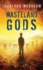 Image for Wasteland Gods