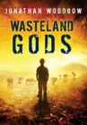 Image for Wasteland Gods