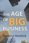 Image for Age of Big Business