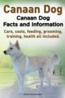 Image for Canaan Dog. Canaan Dog Facts and Information. Canaan Dog Care, Costs, Feeding, Grooming, Training, Health All Included.