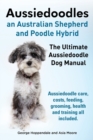 Image for Aussiedoodles. the Ultimate Aussiedoodle Dog Manual. Aussiedoodle Care, Costs, Feeding, Grooming, Health and Training All Included.