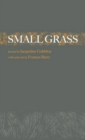 Image for Small grass