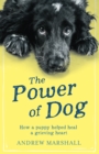 Image for The The Power of Dog