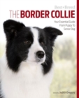 Image for Border Collie Best of Breed