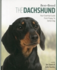 Image for Dachshund Best of Breed