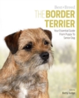 Image for Border Terrier Best of Breed