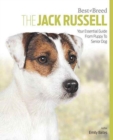 Image for Jack Russell Terrier