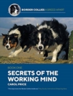 Image for Secrets Of The Working Mind
