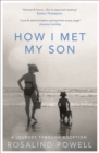 Image for How I met my son  : a journey through adoption