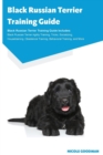 Image for Black Russian Terrier Training Guide Black Russian Terrier Training Guide Includes