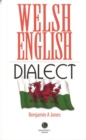 Image for Welsh English Dialect