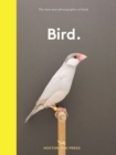 Image for Bird.