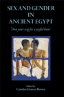 Image for Sex and Gender in Ancient Egypt: &#39;Don Your Wig for a Joyful Hour&#39;