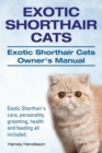 Image for Exotic Shorthair Cats. Exotic Shorthair Cats Owner&#39;s Manual. Exotic Shorthair&#39;s care, personality, grooming, health and feeding all included.