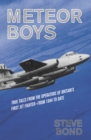 Image for Meteor boys: true tales from the operators of Britain&#39;s first jet fighter - from 1944 to date