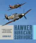 Image for Hawker Hurricane Survivors