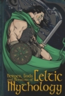 Image for Heroes, Gods &amp; Monsters Of Celtic Mythology