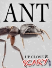 Image for Up Close &amp; Scary Ant