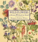 Image for Wild Flowers of Britain