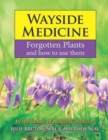 Image for Wayside medicine  : forgotten plants and how to use them