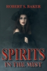Image for Spirits in the Mist