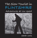Image for The Slow Tourist in Flintshir : Adventures at low speed