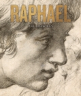 Image for Raphael  : the drawings
