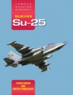 Image for Famous Russian Aircraft Sukhoi Su-25