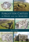 Image for Forgotten castles of Wales &amp; the Marches