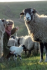 Image for Yorkshire Shepherdess Notebook