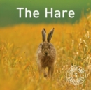 Image for Hare Notepack, The