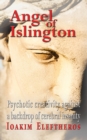 Image for Angel of Islington