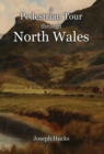 Image for A Pedestrian Tour through North Wales in a Series of Letters