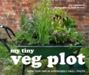 Image for My tiny veg plot