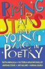 Image for Rising stars  : new young voices in poetry