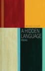 Image for A Hidden Language