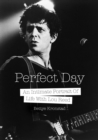Image for Perfect day  : a first wife&#39;s intimate portrait of life with Lou Reed