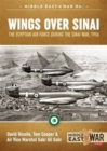 Image for Wings Over Sinai