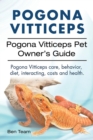 Image for Pogona Vitticeps. Pogona Vitticeps Pet Owners Guide. Pogona Vitticeps care, behavior, diet, interacting, costs and health.