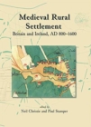 Image for Rural medieval settlement  : Britain and Ireland, AD 800-1600