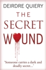 Image for The secret wound