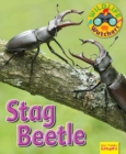 Image for Wildlife Watchers: Stag Beetle